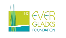 EVERGLADE_FOUNDATION_RAYMOND_BRAVO